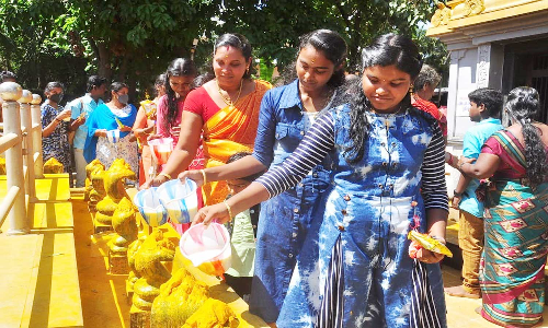 நாகராஜா கோவிலில் பக்தர்கள் திரண்டு தரிசனம்