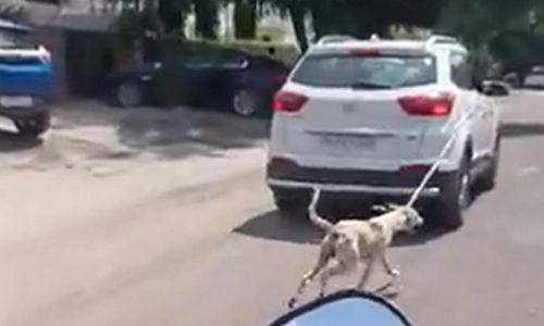 காருக்கு வெளியே நாயை சங்கிலியால் கட்டி இழுத்துச் சென்ற மருத்துவர் மீது வழக்கு