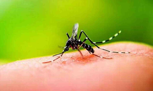 கிராமப்புறங்களில் டெங்கு காய்ச்சலை தடுக்க கூடுதல் பணியாளர்கள்  நியமிக்க வேண்டும் - சுகாதார பேரவை கூட்டத்தில் வலியுறுத்தல்