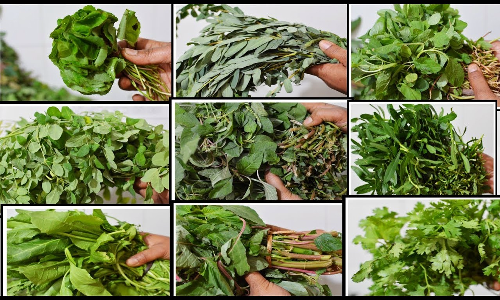 கீரைகளும்.. பயன்களும்..