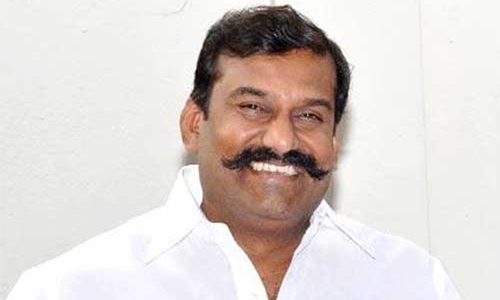 தி.மு.க.வில் இருப்பேன் அரசியலுக்கு வரமாட்டேன்- நெப்போலியன்