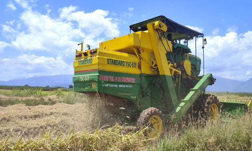 கோபிசெட்டிபாளையம் சுற்றுவட்டார பகுதிகளில் முதல் போக அறுவடை பணிகள் தீவிரம்