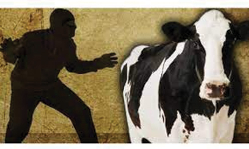 மாடு திருடன் என நினைத்து மனநலம் பாதிக்கப்பட்டவரை மடக்கி பிடித்தனர்