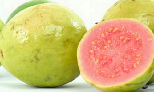 கொய்யாப்பழம் வரத்து அதிகரிப்பு