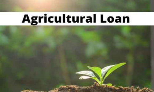 விருதுநகர் மாவட்ட கூட்டுறவு சங்கங்களில்  பயிர்க்கடன் வழங்கும் முகாம்