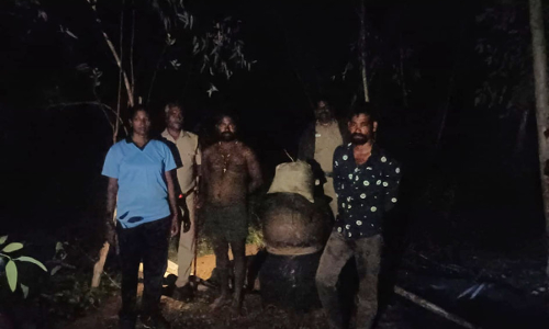 சங்கராபுரம் பகுதியில் சாராயம் காய்ச்சிய கும்பல்: அதிரடி கைது