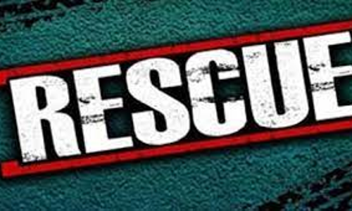 கள்ளக்குறிச்சி அருகே ஆற்றில் அடித்து செல்லப்பட்ட வாலிபர் உயிருடன் மீட்பு