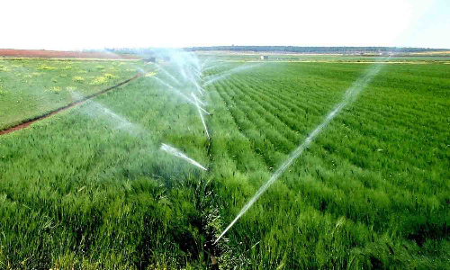 மடத்துக்குளம் வட்டாரத்தில்  255 எக்டரில் சொட்டுநீர் பாசனம் அமைக்க இலக்கு