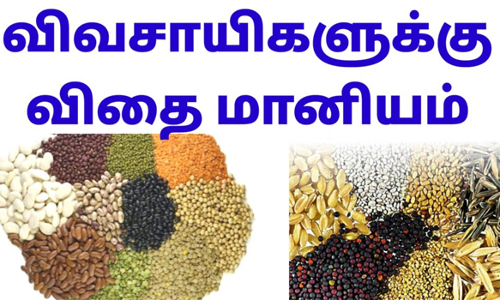 கொளத்தூர் வட்டாரத்தில் விவசாயிகளுக்கு மானிய விலையில் விதைகள்