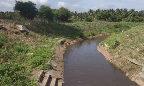 புதுப்பாளையம் கிளைக்கால்வாயில் தண்ணீர் திறப்பு