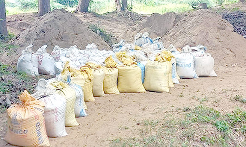 திருமலைராஜன் ஆற்றங்கரையில் மணல் திருட்டை தடுக்க வேண்டும்