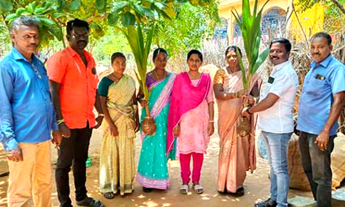 மாப்பிள்ளையூரணியில் 33 பேருக்கு தென்னங்கன்று, பனை விதைகள்  பஞ்சாயத்து தலைவர் சரவணக்குமார் வழங்கினார்