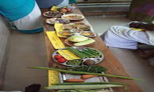 தேசிய ஊட்டச்சத்து மாதவிழா