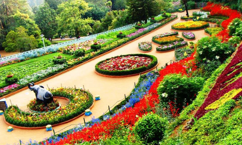 கோத்தகிரியில் நேரு பூங்காவில் புல் தரைகளை வெட்டி பராமரிக்கும் பணி