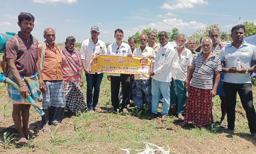 ரெட்டியார்சத்திரத்தில் வேளாண்மை துறை சார்பில் விவசாயிகளுக்கு விழிப்புணர்வு