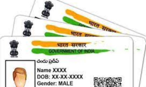 ஆதார் எண்ணை இணைக்கும் பணியில் மாநில அளவில் பெரம்பலூர் 4-வது இடம்