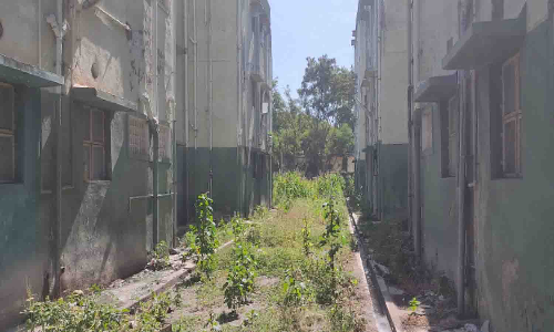 பராமரிப்பின்றி கிடக்கும் உடுமலை போலீஸ் குடியிருப்பு