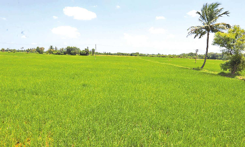 புதிய விமான நிலையத்துக்கு பரந்தூரை தேர்வு செய்தது ஏன்?- அரசு உயர் அதிகாரி விளக்கம்