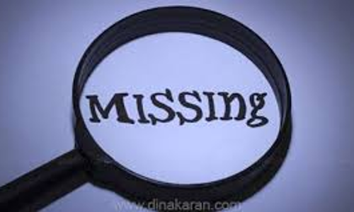 பண்ருட்டி அருகே மாமியாருடன் தகராறு  செய்த  மருமகள் மாயம்