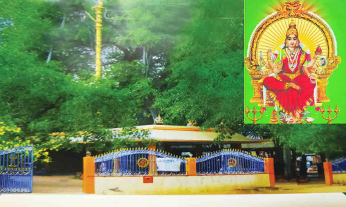 கூட்டாலுமூடு பத்ரேஸ்வரி அம்மன் திருக்கோவில்