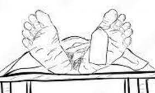 9 மாத கர்ப்பிணி சிகிச்சை பலனின்றி உயிரிழப்பு