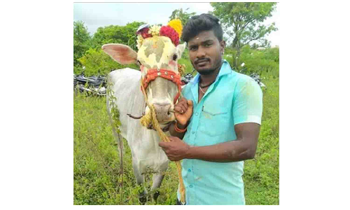 ராயக்கோட்டை அருகே  பால் வண்டி மோதி வாலிபர் பலி