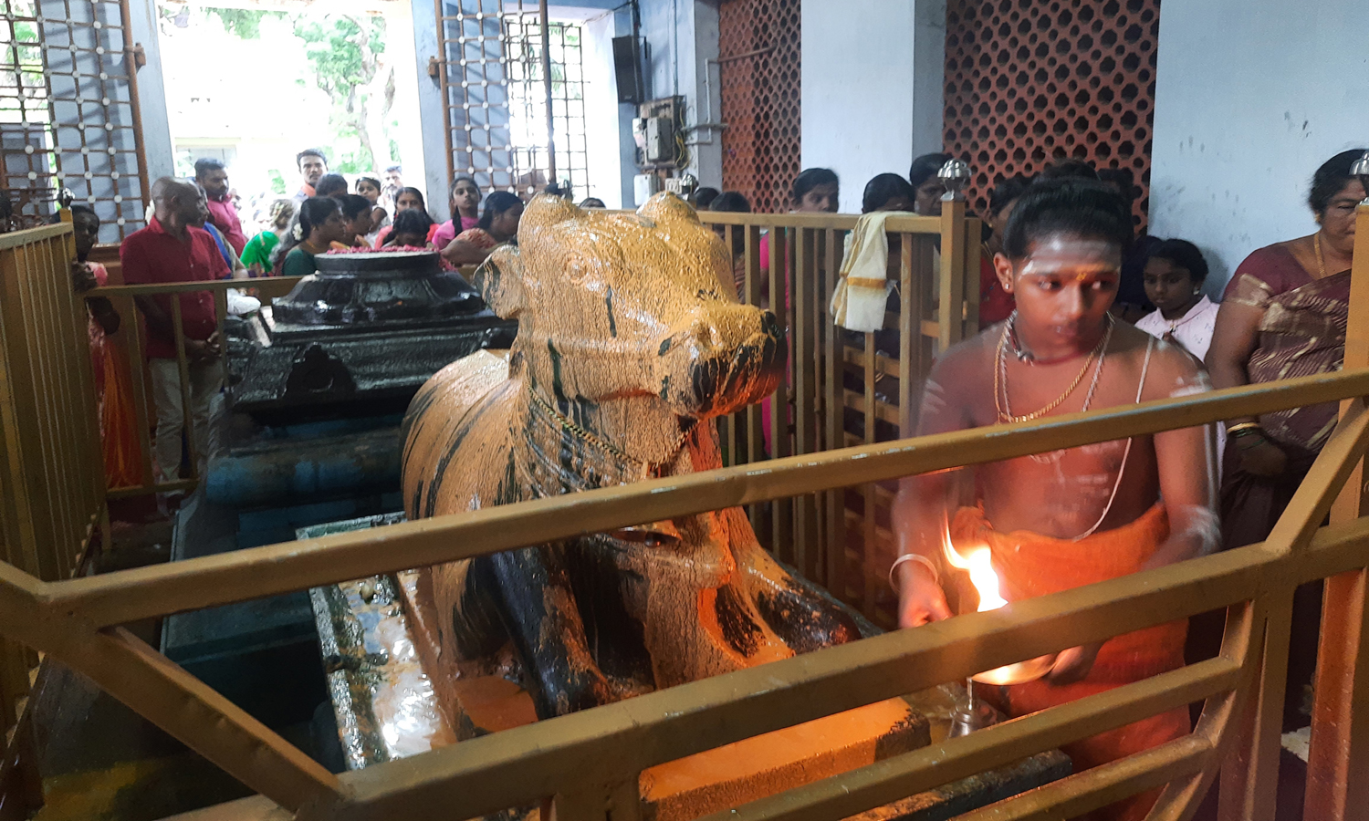 கன்னியாகுமரி பகுதியில் 12 சிவாலயங்களில் பிரதோஷ வழிபாடு - திரளான பக்தர்கள் பங்கேற்பு