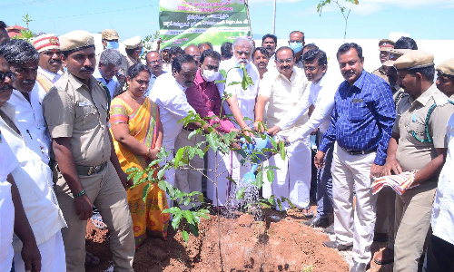 பசுமை தமிழக இயக்கத்தின் கீழ் திண்டுக்கல் மாவட்டத்தில்   21 லட்சம் மரக்கன்றுகள் நடும் பணி அமைச்சர்கள் தொடங்கி வைத்தனர்