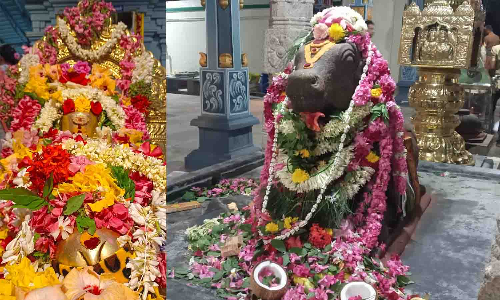 சிவன் கோவில்களில் பிரதோஷ வழிபாடு