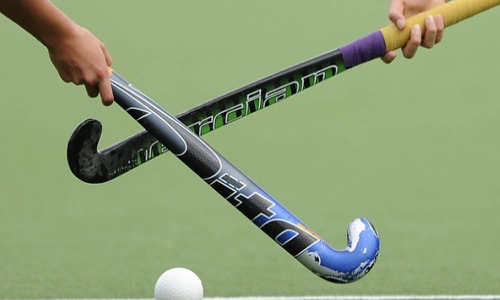 ஆக்கி இந்தியா பொருளாளராக சேகர் மனோகர் தேர்வு