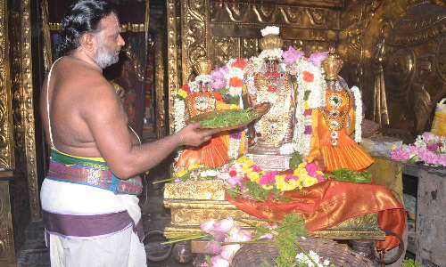 பெருமாள் கோவில்களில் சிறப்பு பூஜை