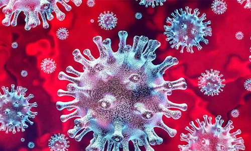 22 பேருக்கு கொரோனா பாதிப்பு