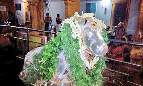 செங்கோட்டை  குலசேகரநாதர் கோவிலில் பிரதோஷ வழிபாடு