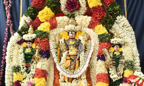 பெருமாள் கோவில்களில் பக்தர்கள் குவிந்தனர்