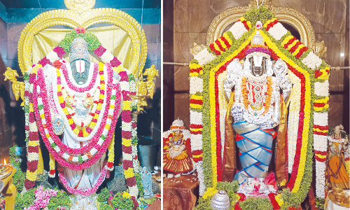 பெருமாள் கோவில்களில் பக்தர்கள் தரிசனம்