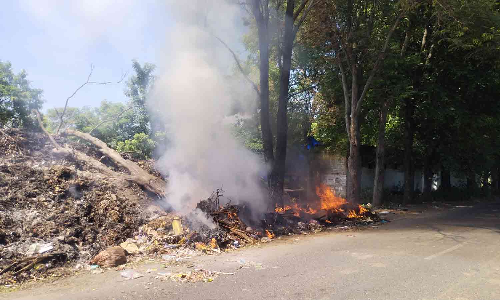 புளிய மரங்கள் எரிந்து சேதம்