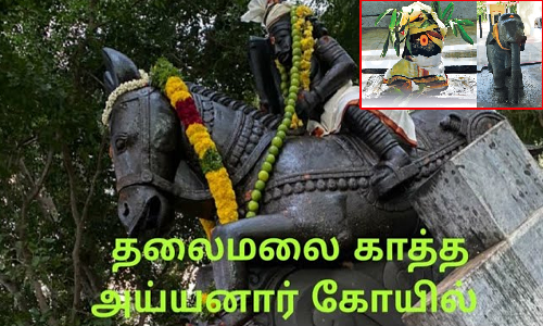 ஏழை பெண்ணுக்கு பிரசவம் பார்த்த தலைமலை ஐய்யனார்