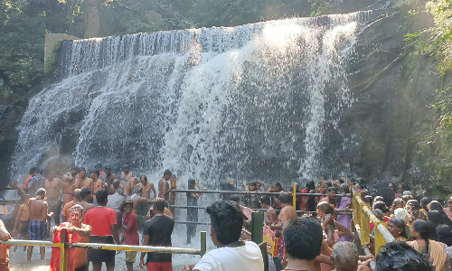 மகாளய அமாவாசையை முன்னிட்டு 53 நாட்களுக்கு பிறகு சுருளி அருவியில் குளிக்க அனுமதி ஏராளமானோர் நீராடி தர்ப்பணம் செய்தனர்