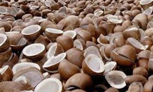 ரூ.1 கோடியே 23 லட்சத்துக்கு கொப்பரை ஏலம்