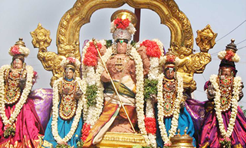 சவுரிராஜ பெருமாள் கோவிலில் சிறப்பு பூஜை