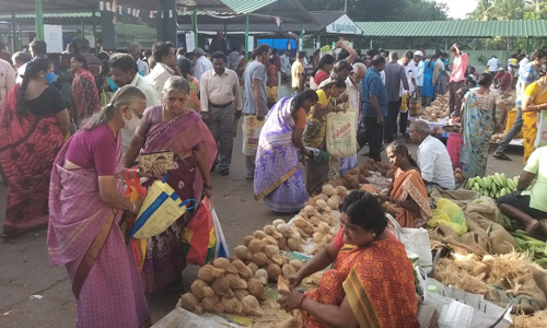 புரட்டாசி  மாத அமாவாசையையொட்டி    சேலம் மாவட்ட உழவர் சந்தைகளில் ரூ.97.65 லட்சத்துக்கு காய்கறிகள் விற்பனை