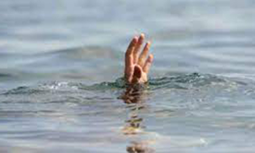 வீரவநல்லூர், நாங்குநேரியில் வடமாநில தொழிலாளி உள்பட 2 பேர் நீரில் மூழ்கி சாவு