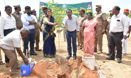 மாவட்டத்தில் 2022-2023-ம் ஆண்டில்  9.86 லட்சம் மரக்கன்றுகள் நட இலக்கு நிர்ணயம்-  கிருஷ்ணகிரி கலெக்டர் தகவல்