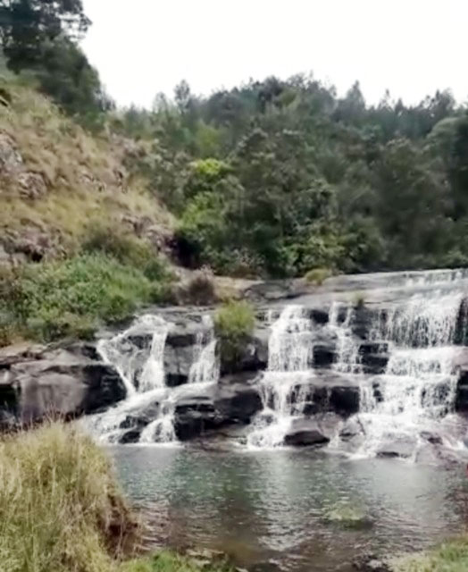 கோத்தகிரி சுண்டட்டி நீர்வீழ்ச்சிக்கு சுற்றுலா பயணிகள் வரத்து அதிகரிப்பு கோத்தகிரி சுண்டட்டி நீர்வீழ்ச்சிக்கு சுற்றுலா பயணிகள் வரத்து அதிகரிப்பு