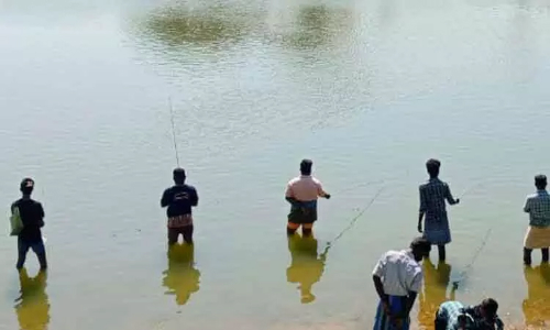 போட்டி தூண்டில் மீன் திருவிழா