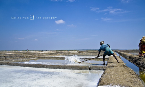 மரக்காணம் பகுதியில் பெய்த  மழையால் உப்பு உற்பத்தி பாதிப்பு