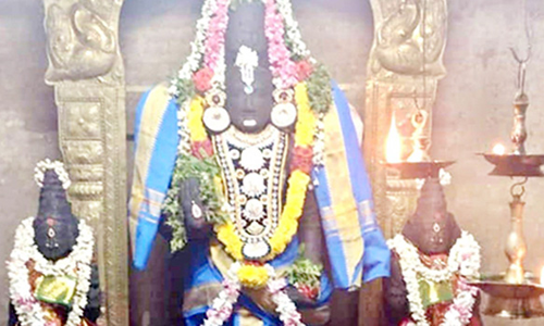 வரதராஜ பெருமாள் கோவிலில் சிறப்பு வழிபாடு