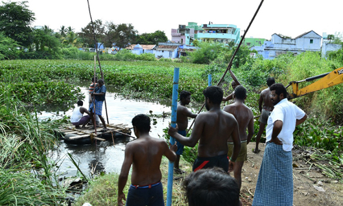 மழைநீர் சேகரிப்பு குளத்தில் இருந்த  ஆகாயத்தாமரைகள் அகற்றம்