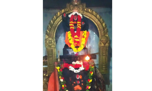 செல்வ காளியம்மனுக்கு விஷே பூஜை