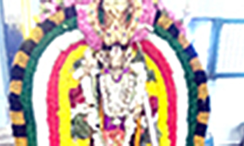 பாவாசாமி அக்ரஹார ஆஞ்சநேயருக்கு சிறப்பு வழிபாடு